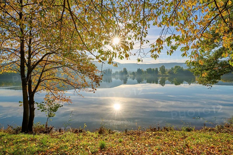 Lake, cherry tree, reflection, sky, clouds, sunrise, autumn, Freudenberg, Odenwald, Baden-Württemberg, Germany, Europe