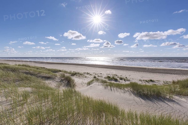 Dunes of Texel National Park, Nationaal Park Duinen van Texel on the North-Holland island of Texel in the Netherlands