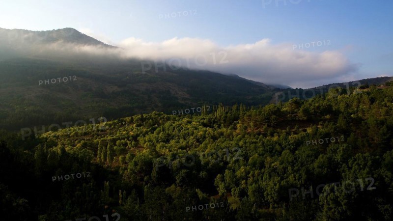 Small town on green hill, Polizzi Generosa, hostoric buildings, churches, Madonie National Park, spring, Sicily, Italy, Europe