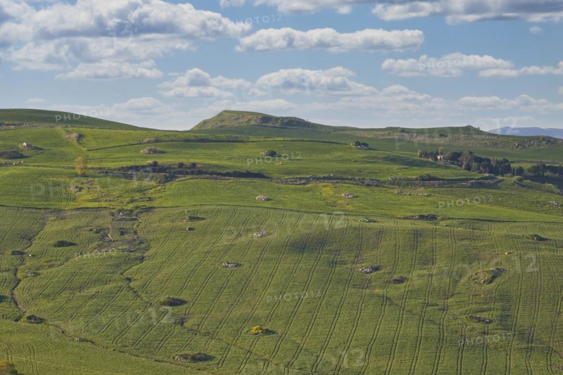Green hills, blossoming trees, fields, sky changed, Madonie National Park, spring, Sicily, Italy, Europe