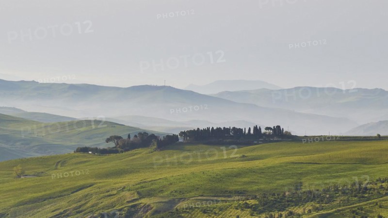 Fog, ranges of hills, green meadows, small woods, Madonie National Park, spring, Sicily, Italy, Europe