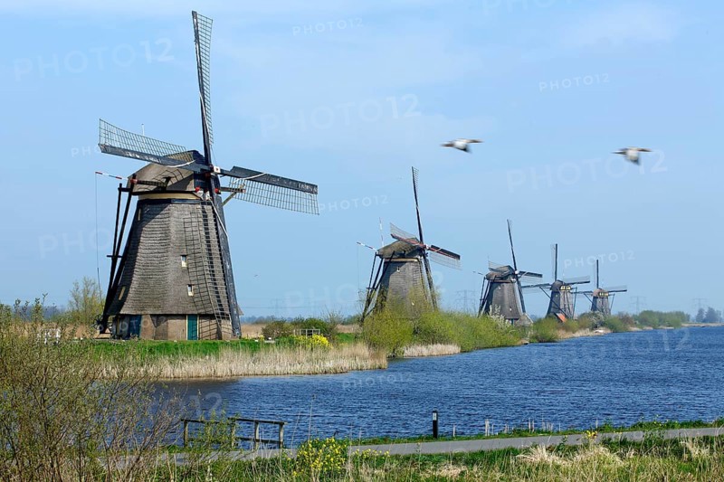 Windmills, Kinderdijk, Netherlands