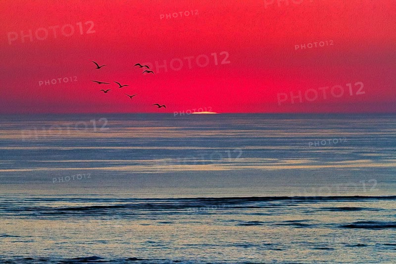 Refraction and reflection at sunset on the horizon, flock of birds, haze, Bassin d'Arcachon, Bay of Biscay, France, Europe