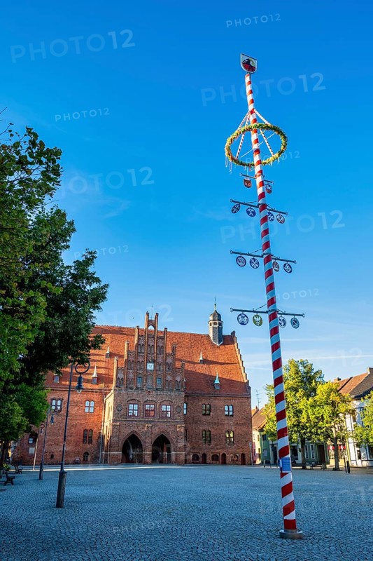 Maypole in front of Jüterbog town hall, Brandenburg, Germany, Europe