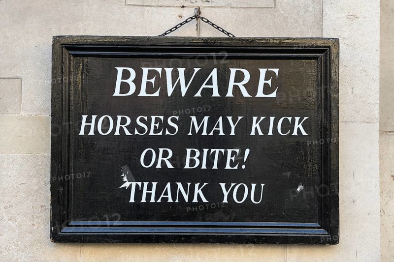 Shield at the Horse Guards, Soldiers of the Household Cavalry Mounted Regiment, White Hall, Westminster, London, England, Great Britain