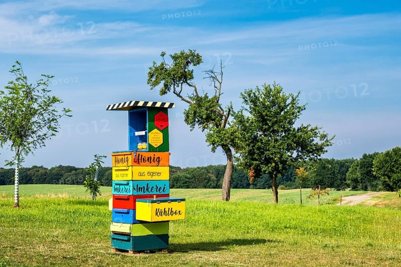 Honey stand, Hinrichsberg, Sietow municipality, Mecklenburg-Western Pomerania, Germany, Europe