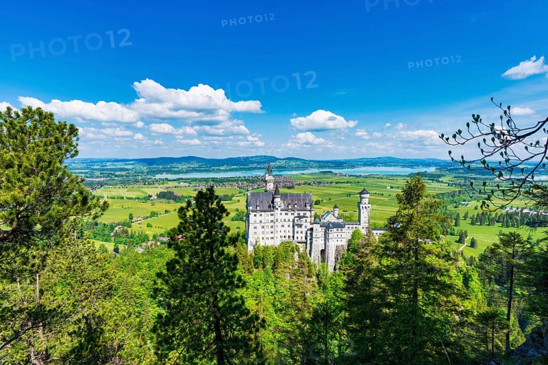 Neuschwanstein Castle near Hohenschwangau, Romantic Road, Ostallgäu, Bavaria, Germany, Europe