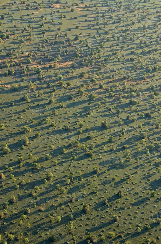 Aerial view, landscape in morning light, Bangweulu swamps, Luapula Province, Zambia, Africa