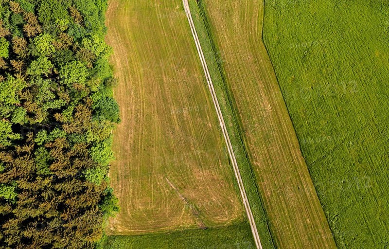 Drone shot, meadow path leads through mown meadows, from above, structure, agriculture, agricultural landscape, Oberhofen, Hausruckviertel, Upper Austria, Austria, Europe