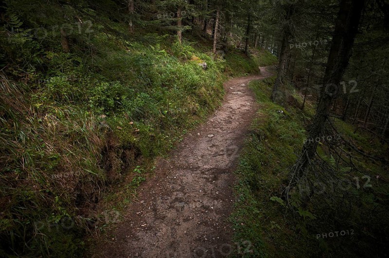 Hiking trail to the Autenalm, Elfer, Neustift, Stubai Valley, Tyrol, Austria, Europe