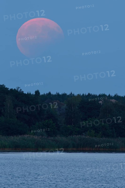 Partial lunar eclipse, Middle Elbe Biosphere Reserve, Saxony-Anhalt, Germany, Europe