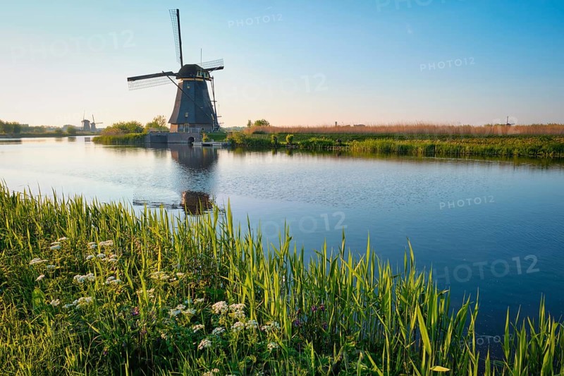 Netherlands rural lanscape with windmills at famous tourist site Kinderdijk in Holland on sunset with dramatic sky