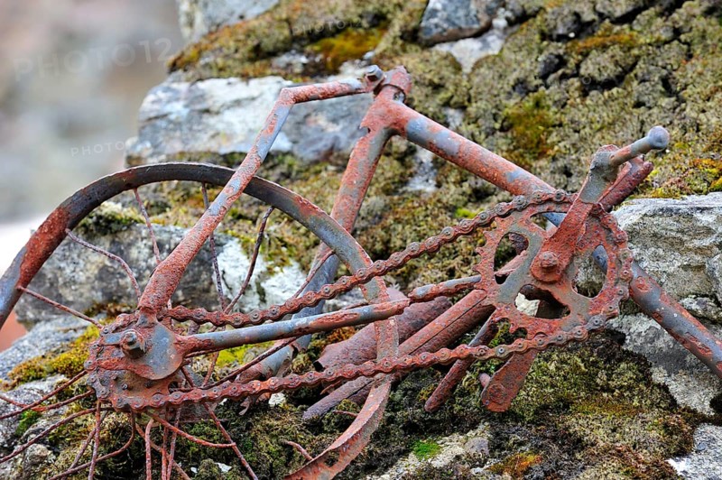 Burnt child's bicycle. The burnt village of Oradour-sur-Glane was destroyed on 10 June 1944 when 642 of its inhabitants, including woman and children, were massacred by a German Waffen SS company, Limousin, France, Europe