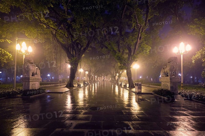 Guangzhou People's Park with mist fog at night. Guangzhou, China, Asia