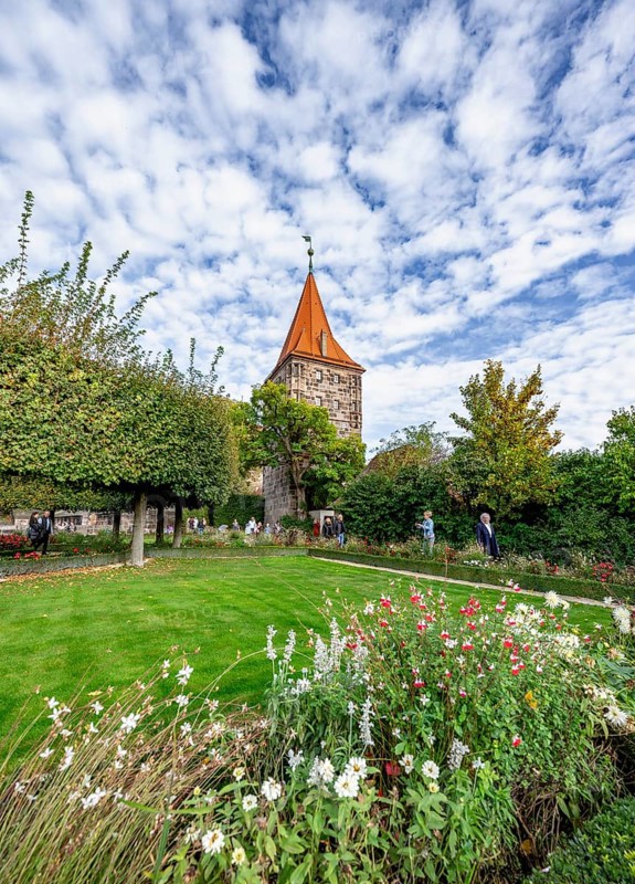 Zoo tower, flowers in the castle garden, Kaiserburg, in autumn, Nuremberg, Middle Franconia, Bavaria, Germany, Europe