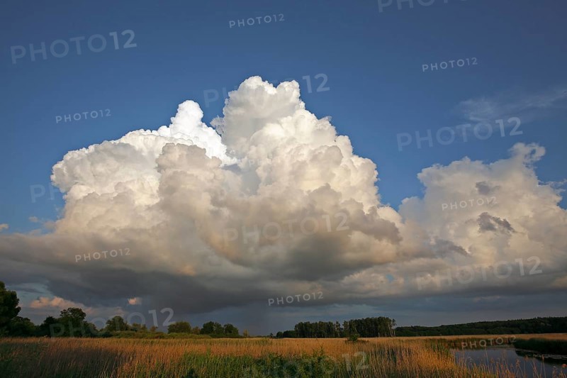 (Cumulus) clouds over the moor at the river Trebel, weather, Peene Valley River Landscape nature park Park, Mecklenburg-Western Pomerania, Germany, Europe
