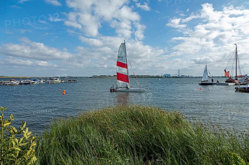 Sailing boats, Rügen Bridge, Altefähr, Rügen Island, Mecklenburg-Western Pomerania, Germany, Europe