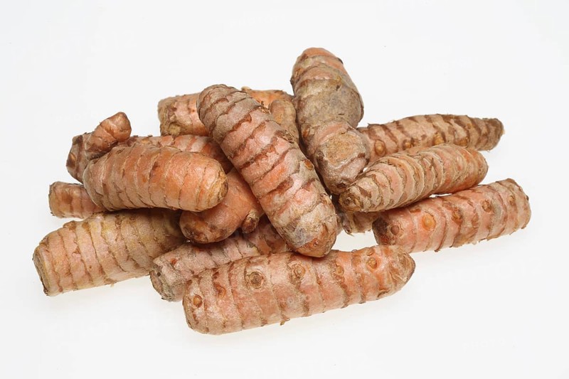 Turmeric (Curcuma longa) or curcume, yellow ginger, saffron root, turmeric, plant species of the ginger family, medicinal plant, dye plant and spice