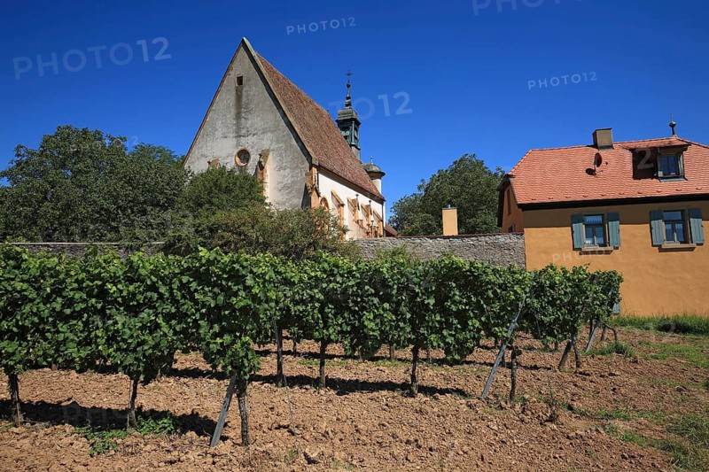Maria im Weingarten Chapel, Volkach, Kitzingen District, Lower Franconia, Bavaria, Germany, Europe