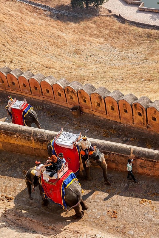 AMER, INDIA, NOVEMBER 18, 2012: Tourists riding elephants on ascend to Amer (Amber) fort, Rajasthan, India. Amer fort is famous tourist destination and landmark
