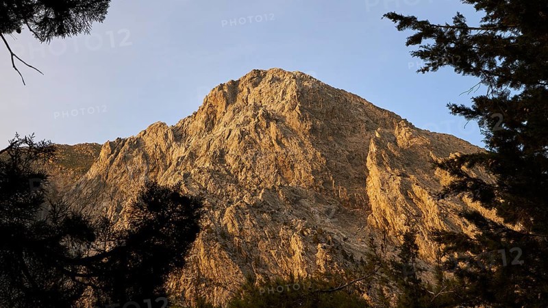 Morning light, Gingilos, trees, cloudless blue sky, Samaria Gorge, Samaria, gorge, national park, Omalos, Lefka Ori, White Mountains, West Crete, island of Crete, Greece, Europe
