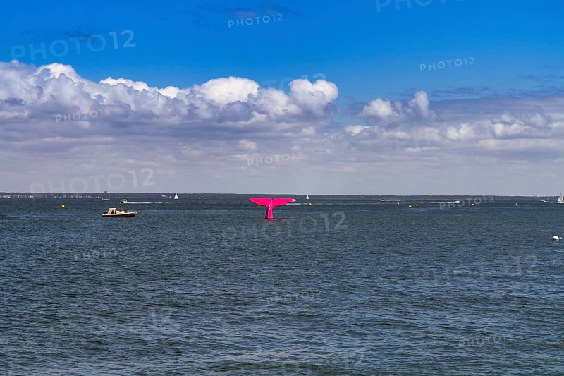 Pink buoy, sculpture of a fluke and boats in the Bay of Arcachon, Gironde, Aquitaine, France, Europe