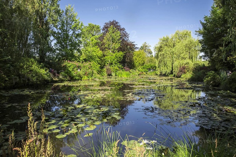 The Water Lily Pond in summer, garden at the home of Impressionist painter Claude Monet in Giverny, Eure, Normandy, France, Europe