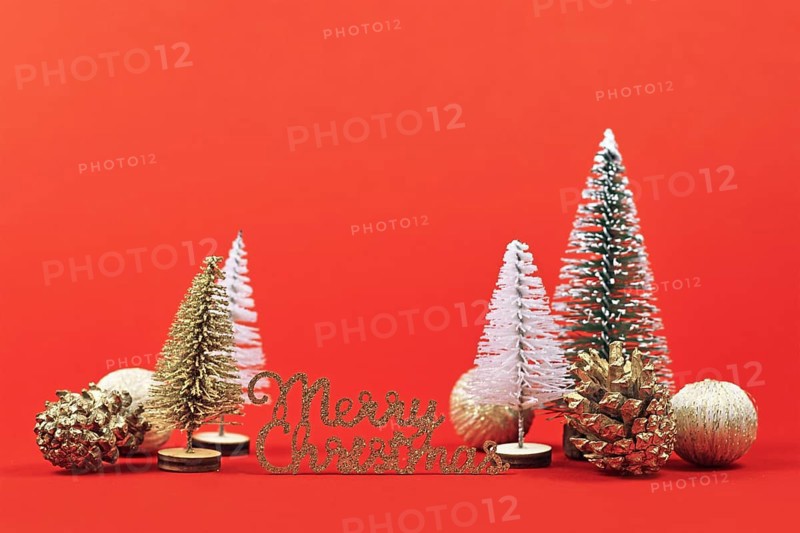 Christmas arrangement with white and green miniature Christmas trees, golden fir cones and tree ornament baubles and golden words 'Merry Christmas' on red background with copy space
