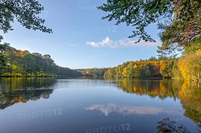 Mill pond in Obenstrohe, recreation area, Obenstrohe, Varen, district of Friesland, Lower Saxony, Germany, Europe