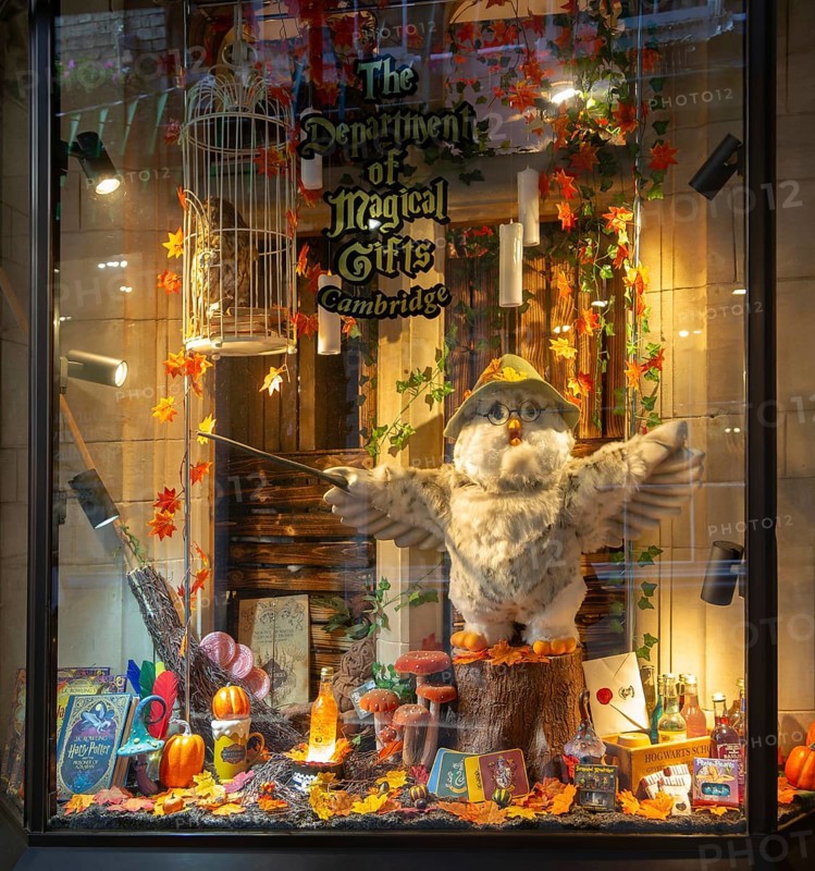Shop window display, The Department of Magical Gifts shop, city centre, Cambridge, Cambridgeshire, England, UK