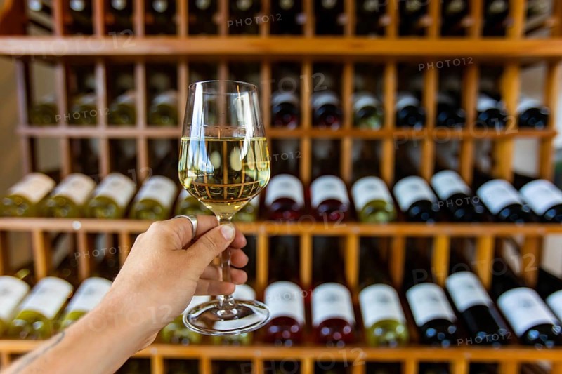 Hand holding a glass of white wine selective focus view, tasting room wines bottles display on wooden racks shelves background, wine shop interior