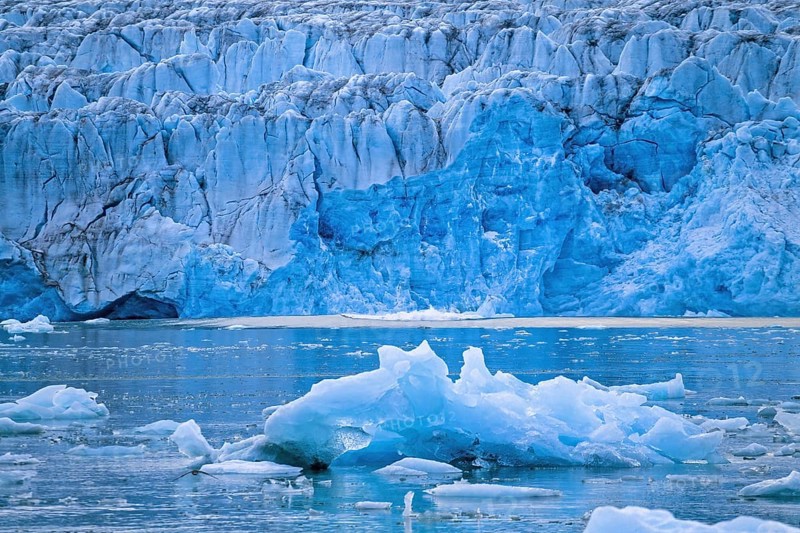 Glacier by the sea in the arctic