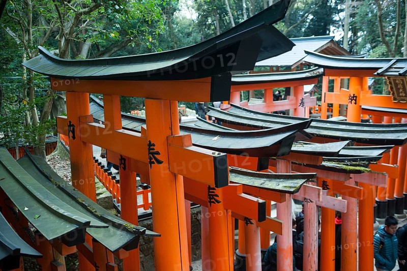 24.12.2017, Kyoto, Japan, Asia, Scarlet red wooden portals line one of the torii pathways leading to Fushimi Inari-Taisha, a Shinto shrine in the Fushimi district of Kyoto city, Asia