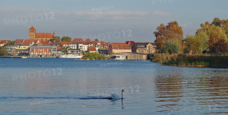 Idyllic lakeside landscape with town in the background and swans in the water, Waren, Müritz, Mecklenburg-Vorpommern, Germany, Europe