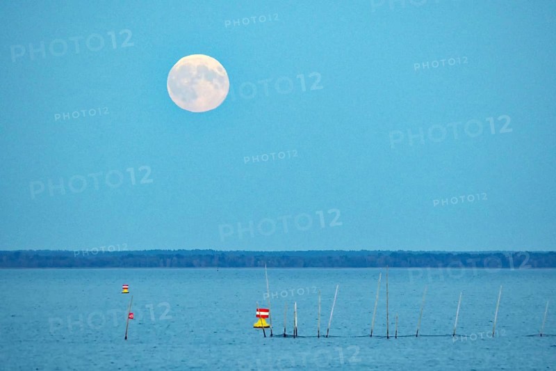 Moon over calm water with buoys, nocturnal atmosphere, Müritz, Müritz National Park, Mecklenburg-Vorpommern, Germany, Europe
