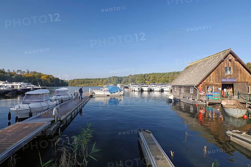 Spacious harbour with boats and jetty, wooden hut on the shore, blue water, fish shop, Eldenburg, tourism, Waren, Mecklenburg-Vorpommern, Germany, Europe