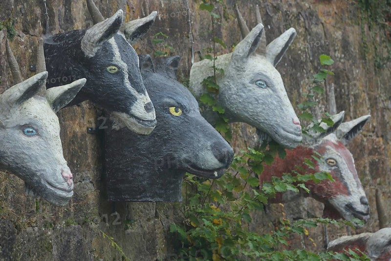 Sculptures by Pasquale Ippolito on the Brothers Grimm fairy tale The Wolf and the Seven Little Goats, goat heads, goat head, wolf figure, wolf head, Grimm-Dich-Pfad, Marburg, Hesse, Germany, Europe