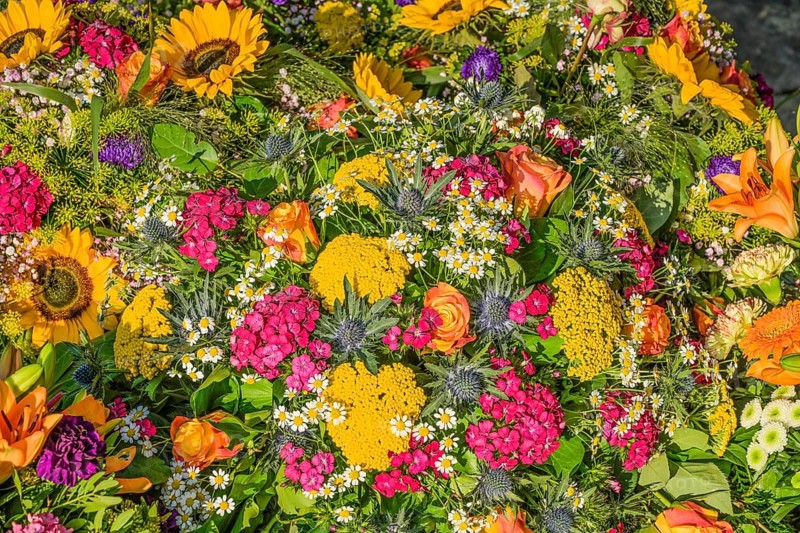 Flowers on a fresh grave in the cemetery