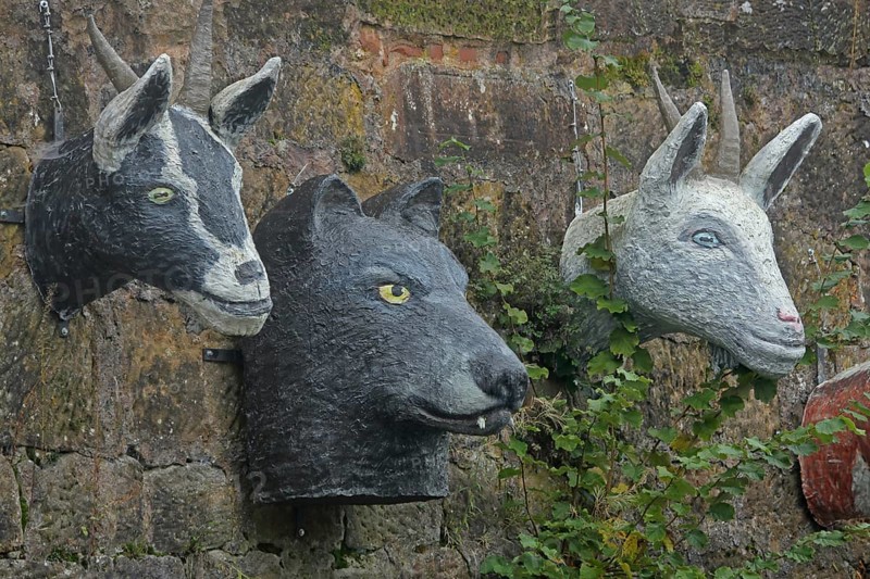Sculptures by Pasquale Ippolito on the Brothers Grimm fairy tale The Wolf and the Seven Little Goats, goat heads, goat head, wolf figure, wolf head, Grimm-Dich-Pfad, Marburg, Hesse, Germany, Europe
