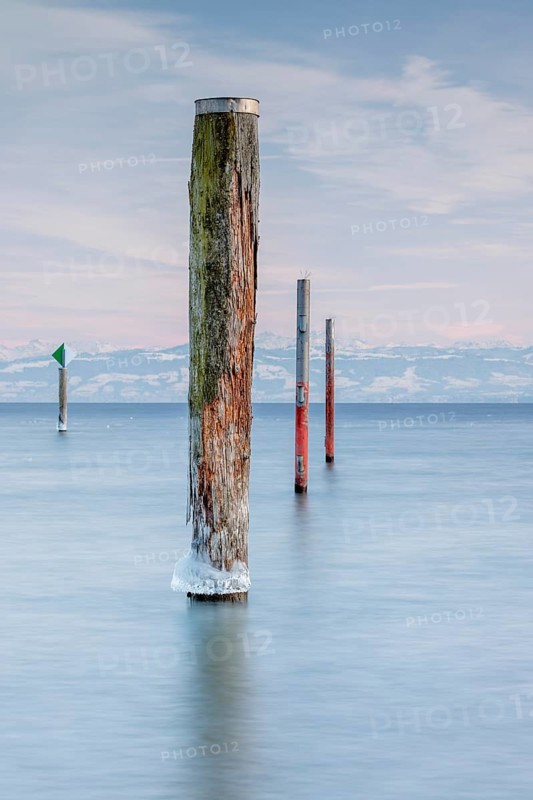 Wooden posts protrude from a calm lake under a pastel-coloured sky, harbour, Immenstaad, Lake Constance, Baden-Württemberg, Germany, Europe