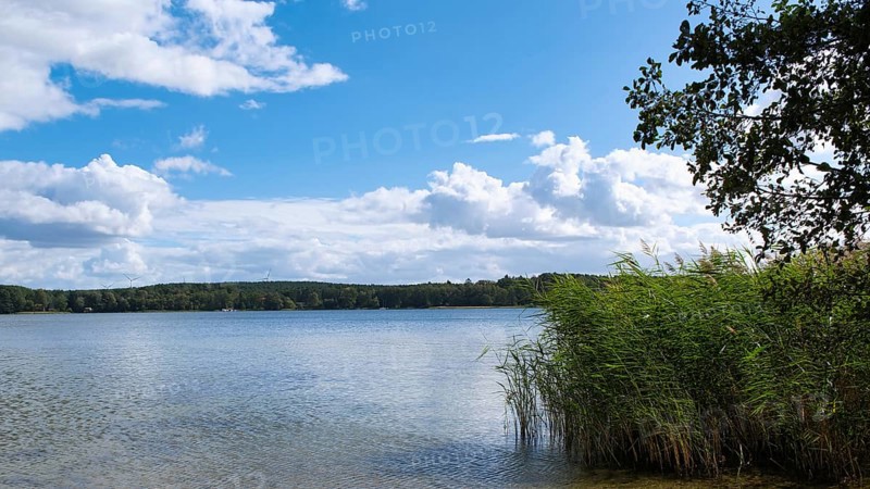 View over the Scharmützelsee, Wendisch-Rietz, Brandenburg, Germany, Europe