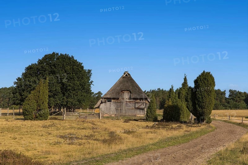 Old sheepfold in the Lüneburg Heath, Germany, Lower Saxony, Undeloh, Lower Saxony, Federal Republic of Germany, Europe