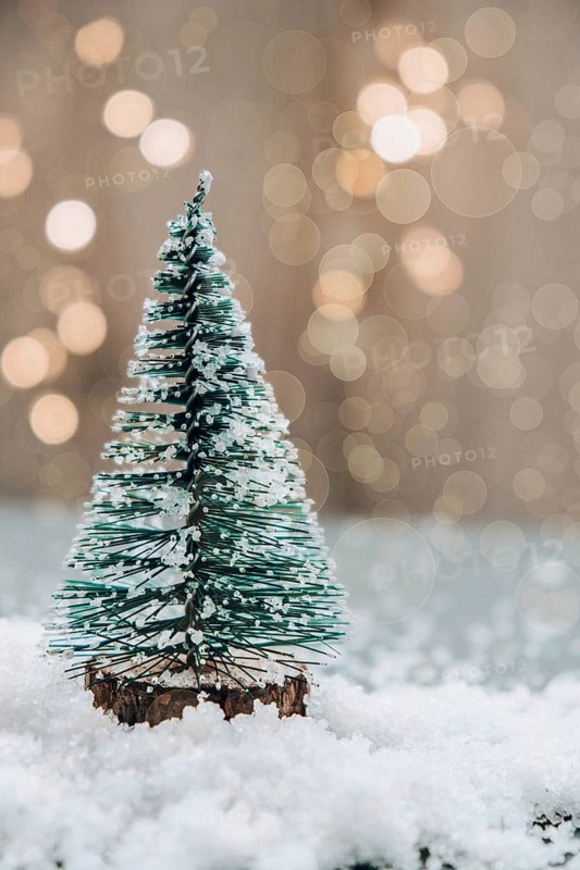 Christmas tree on bokeh light background. Artwork minimal pastel color design for new year. Winter holidays greeting card. Green snowy Christmas trees decorations