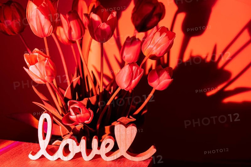 Wooden word LOVE on background of Pink colored tulip flower in neon light on red gradient background in the night light. Valentines Anniversary Holiday. Creative dark holiday concept. Copy space greeting card Floral bouquet of fresh flowers. Aesthetic sunset lamp