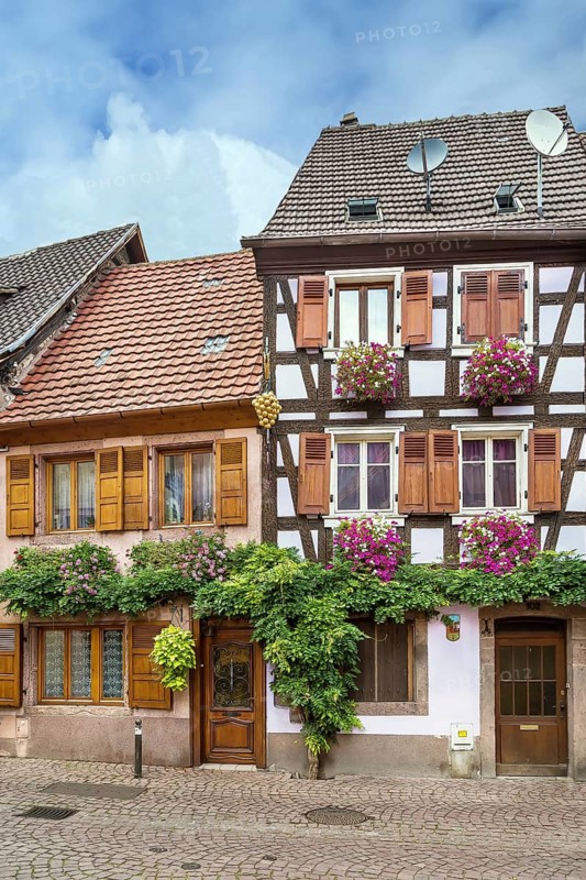 Street with historical houses in Ribeauville, Alsace, France, Europe