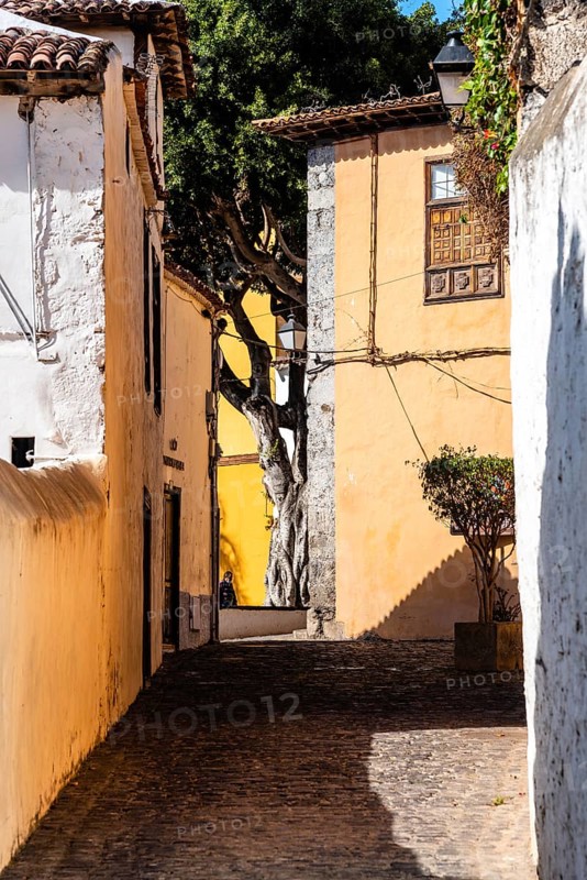 Icod de los Vinos, Spain, August 12, 2021: Scenic view of the old town of Icod de los Vinos, Tenerife, Canary Island, Europe