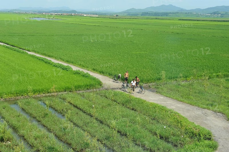 07.08.2012, North Korea, Asia, A scene in the North Korean province during the train journey from the border town of Sinuiju to the capital Pyongyang, Asia
