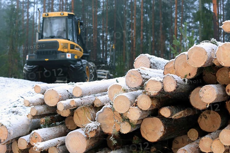 SALO, FINLAND, DECEMBER 18, 2016: Stack of snow and frost covered wooden logs in foggy winter forest with PONSSE Elk forest forwarder on the background. Shallow depth of field, focus on logs