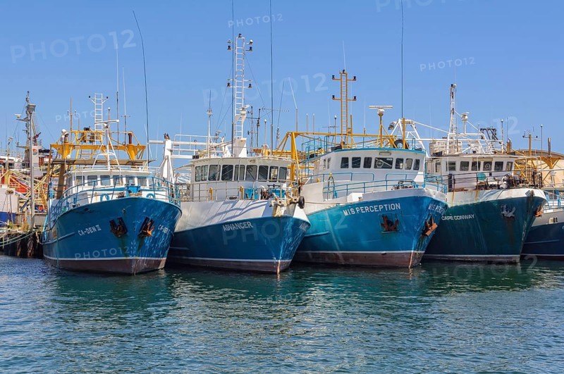 Fishing boats in the harbour, Fremantle, WA, Australia, Oceania