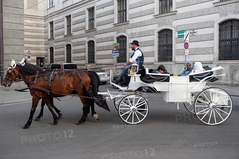 14.06.2019, Vienna, Austria, Europe, A horse-drawn carriage rides Arab tourists through the capital during a city tour in a horse-drawn carriage, Europe